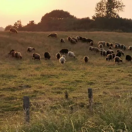 Lägenhet Inviting Near Nieby (Nieby, Schleswig-Flensburg)